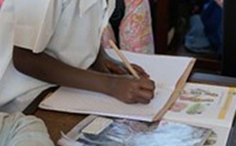 【熱門】小雞寫作文集合九篇