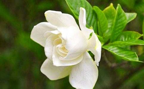 ��ɫ�d�ӻ��Ļ��ZԢ���B-�r���Y�x