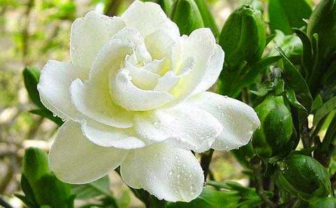 �d�ӻ��Ļ��Z(y��)�͂��f(shu��)-�r���Y�x