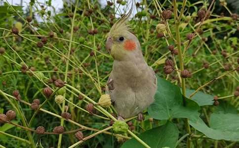 �ҵĄ�(d��ng)�������W�^���ľ�Ʒ��15ƪ��